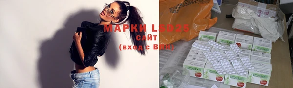 эйфоретик Алзамай