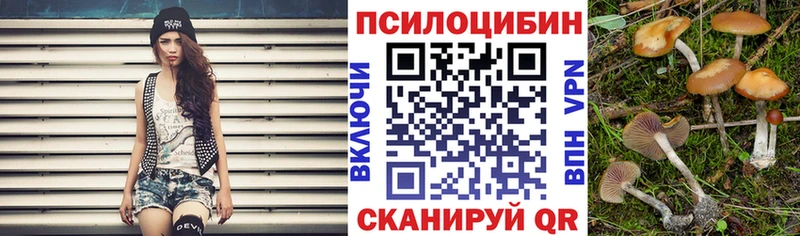 Псилоцибиновые грибы Cubensis  наркота  Железногорск-Илимский 